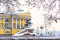 Твой Петербург 5 дней